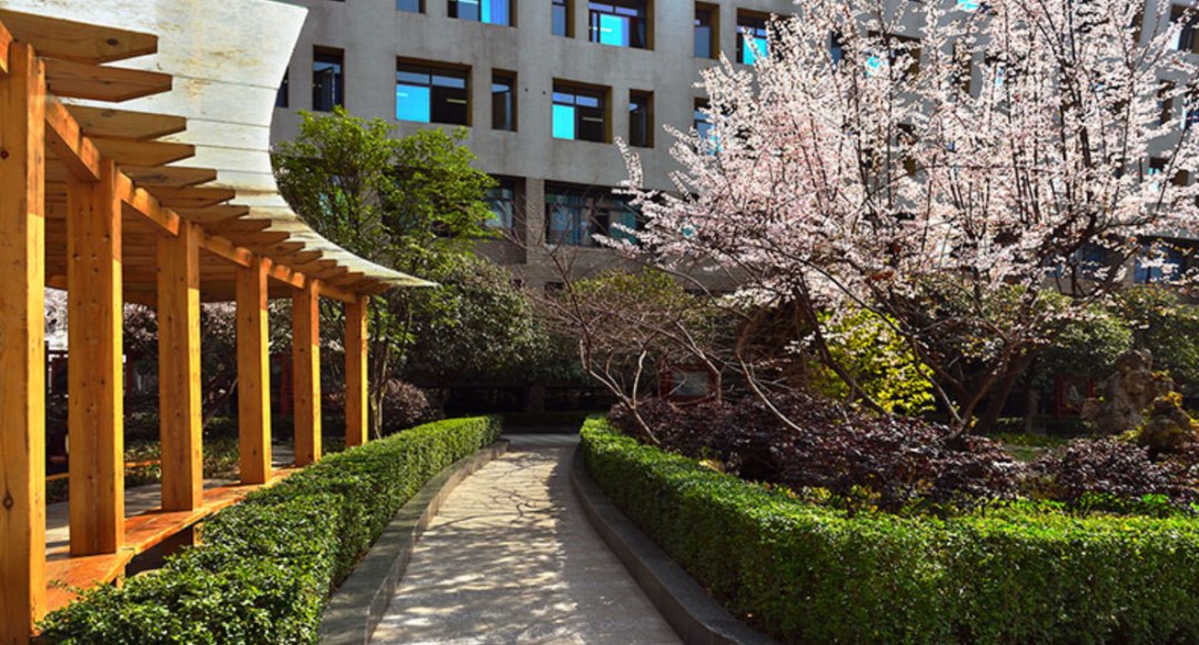 成都市中和中学校园庭园